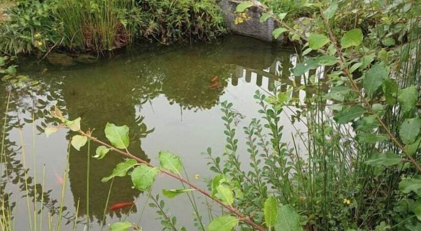 호텔 Hôtel Et Gîtes L Ecrin 88 Vosges