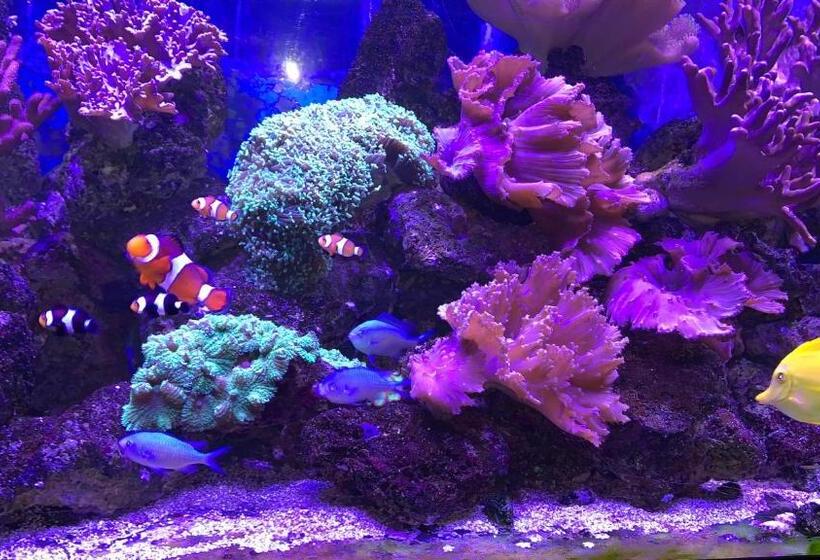 هتل La Locomotive