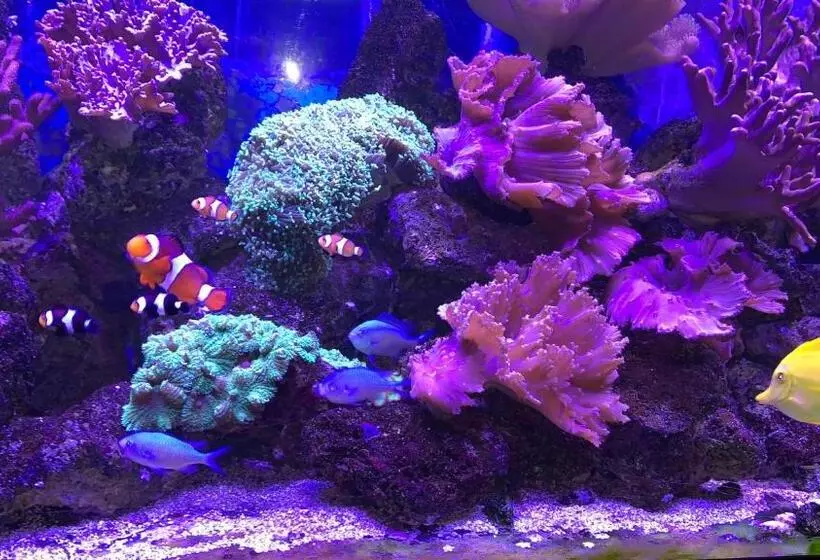 호텔 La Locomotive