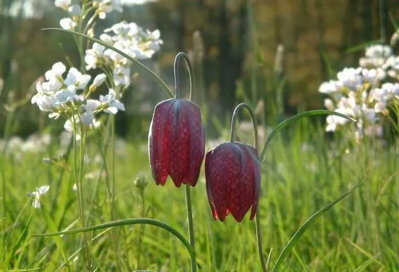 Seehotel Gut Dürnhof