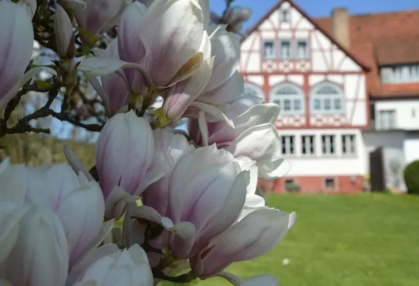 Seehotel Gut Dürnhof