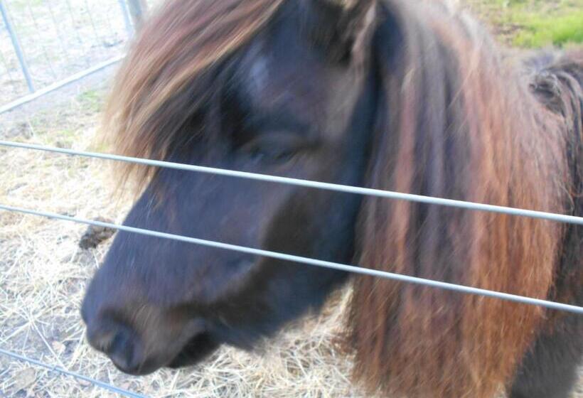 Hotel Kerriley Park Farmstay