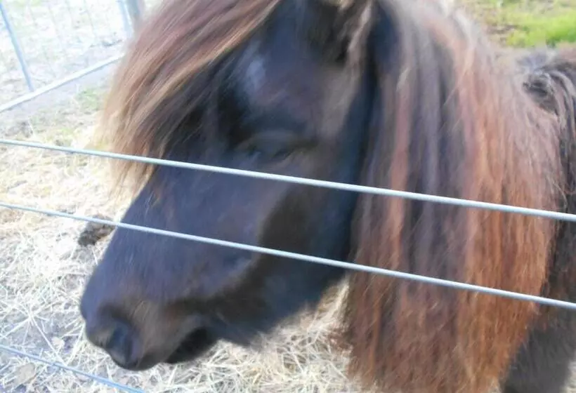 Hotelli Kerriley Park Farmstay