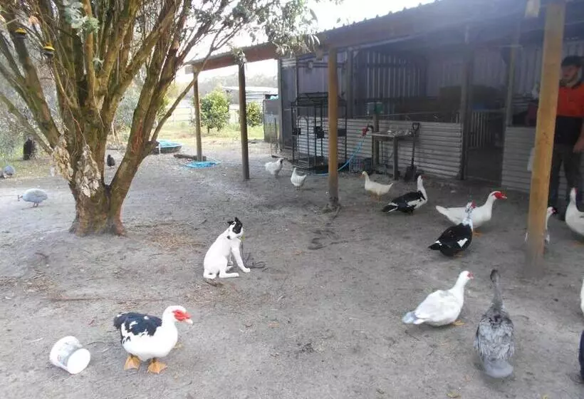 Hotelli Kerriley Park Farmstay