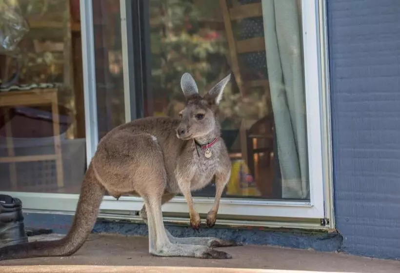 Hotelli Kerriley Park Farmstay