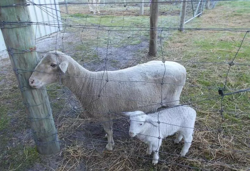 Hotelli Kerriley Park Farmstay