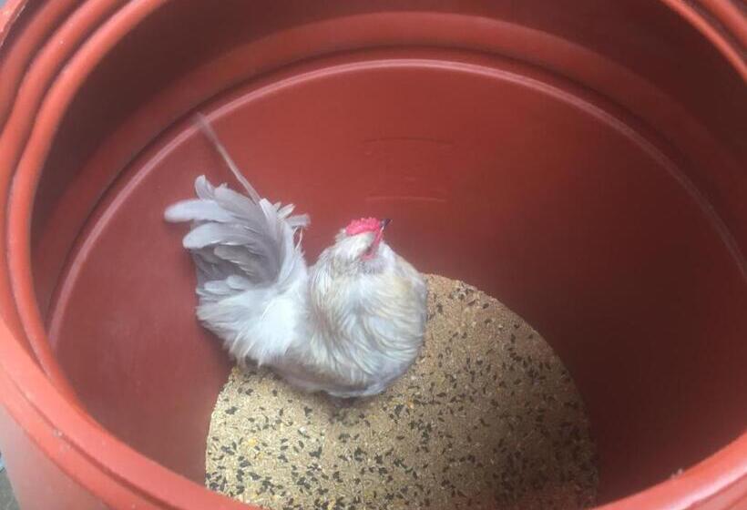 Hotel Kerriley Park Farmstay