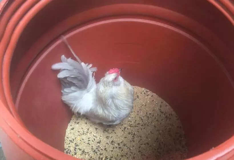 Hotelli Kerriley Park Farmstay