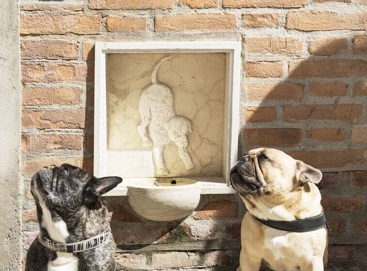 هتل Agli Alboretti