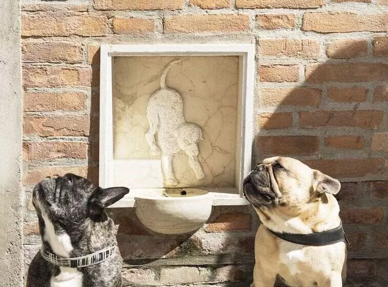 هتل Agli Alboretti