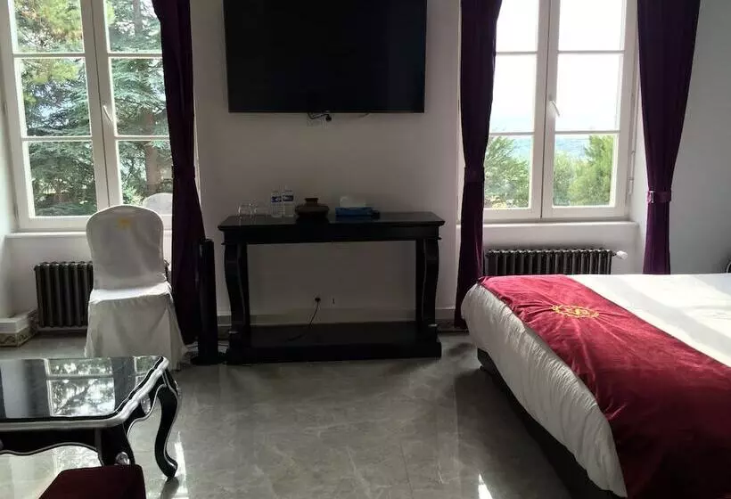 Hotel Château Nevers