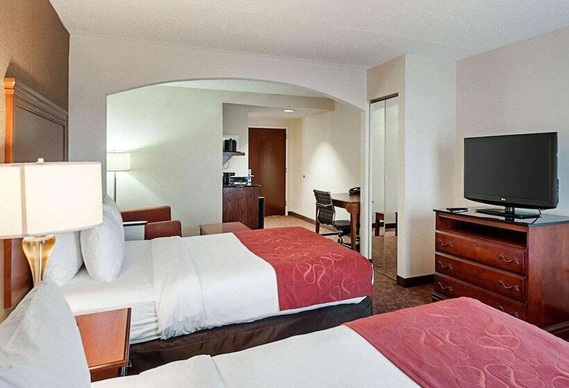 Otel Comfort Suites Dulles Airport