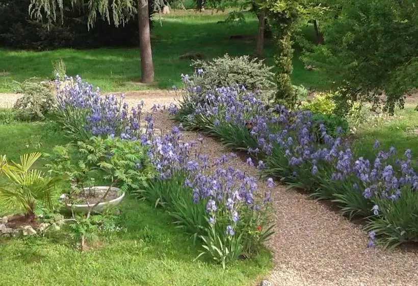 酒店 Hostellerie Le Clos Du Cher