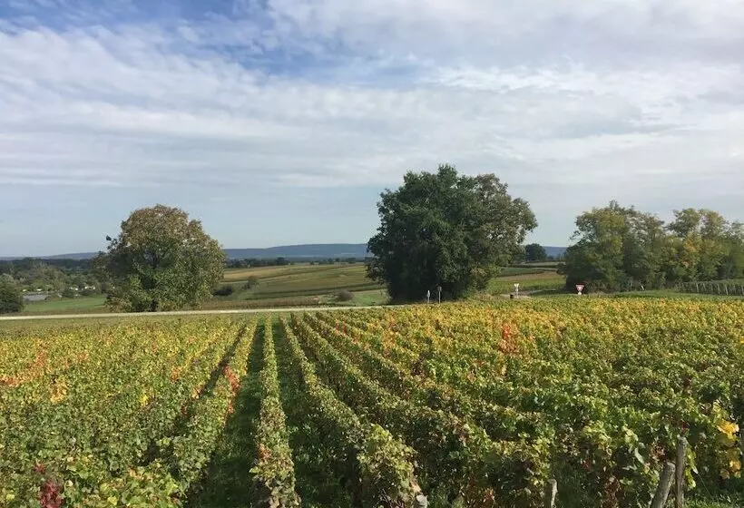 בית מלון כפרי Restaurant La Place