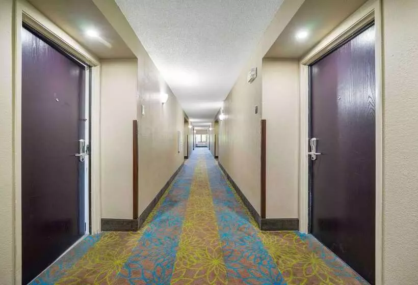 호텔 Sleep Inn Leesburg Chain Of Lakes