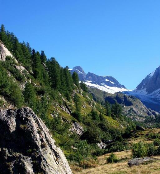 Alpenhotel Zur Wildi Lauchernalp