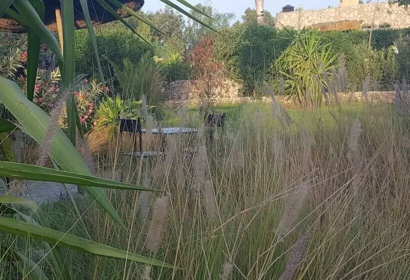 Maaseutuhotelli Koheilan Oriental Lodge Farm