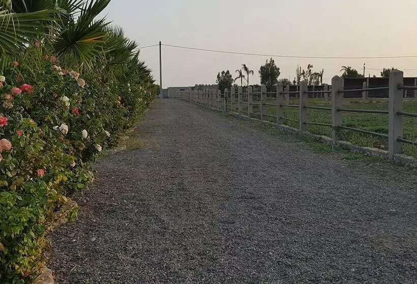 Maaseutuhotelli Koheilan Oriental Lodge Farm