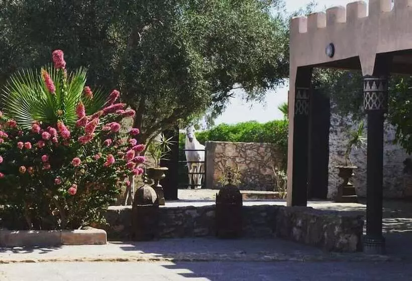 Maaseutuhotelli Koheilan Oriental Lodge Farm