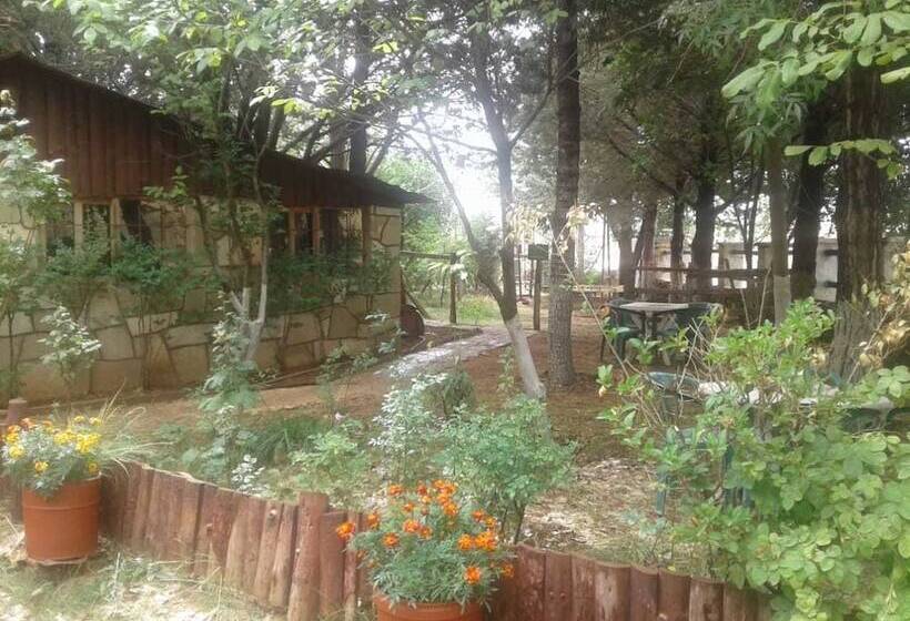 펜션 Auberge La Forestiere