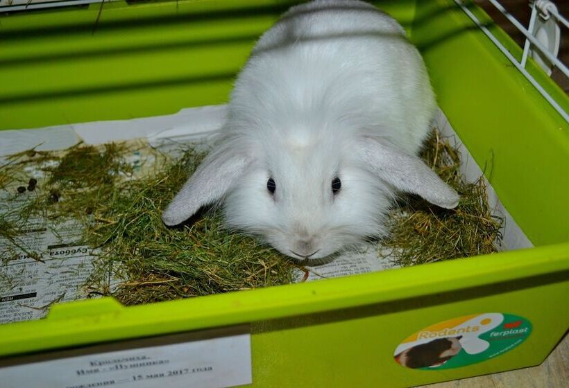 Пансион Guest House Na Lugu