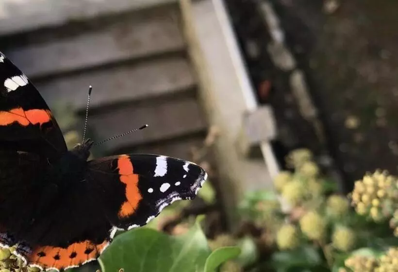 酒店 Domaine Du Moulin Vallée Heureuse