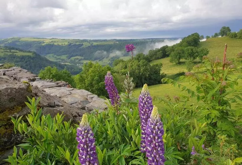 Отель Logis Hôtel Restaurant & Spa Les Remparts