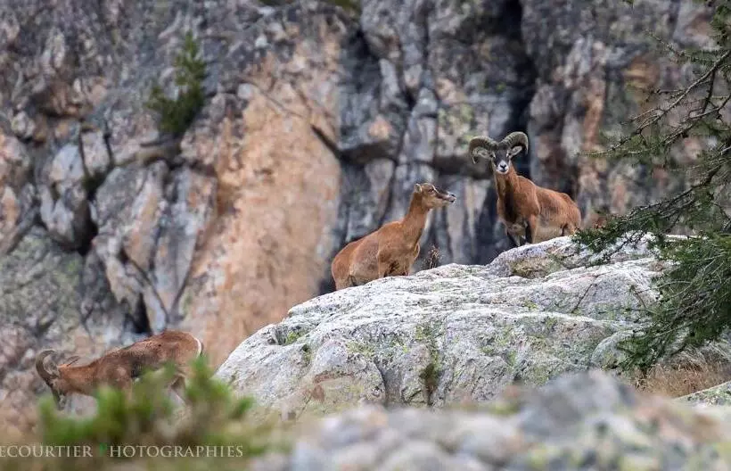 Отель La Bonne Auberge