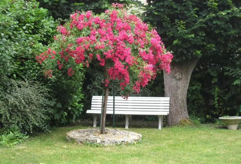 Отель Logis Hôtel Restaurant Les Tilleuls