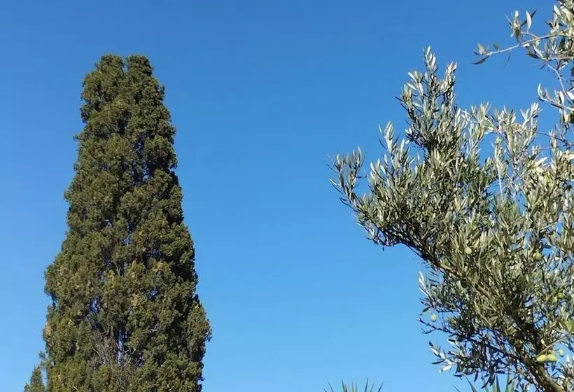 Logis Hotel Restaurant L Esquielle