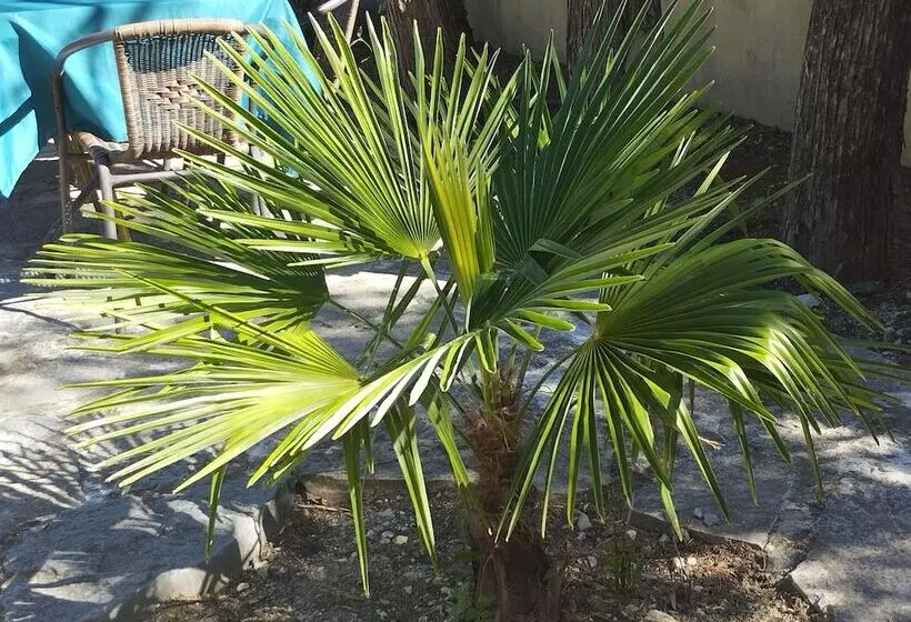 Logis Hotel Restaurant L Esquielle