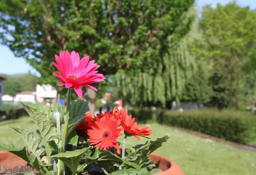 בית מלון כפרי Mendy