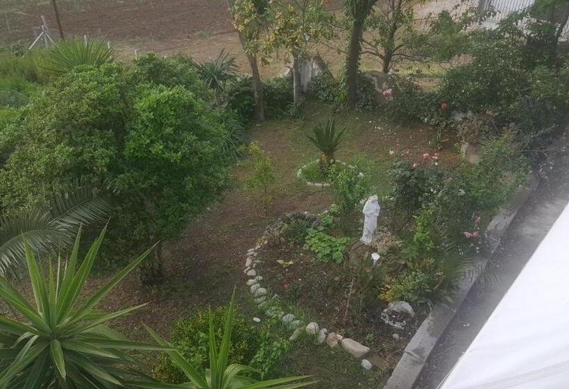 צימר B E B Il Vigneto