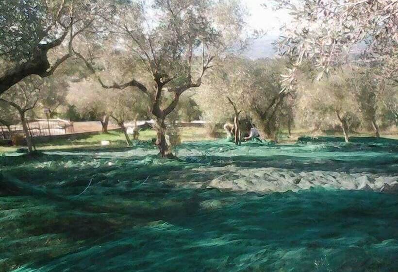 田舎風ホテル Agriturismo Borgonuovo