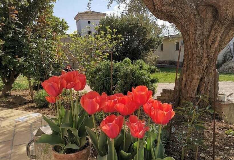 هتل روستایی Agriturismo Torre Mannella