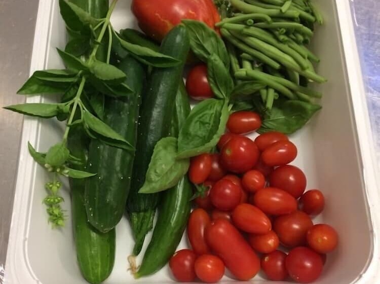 교외 호텔 Oasi Battifoglia