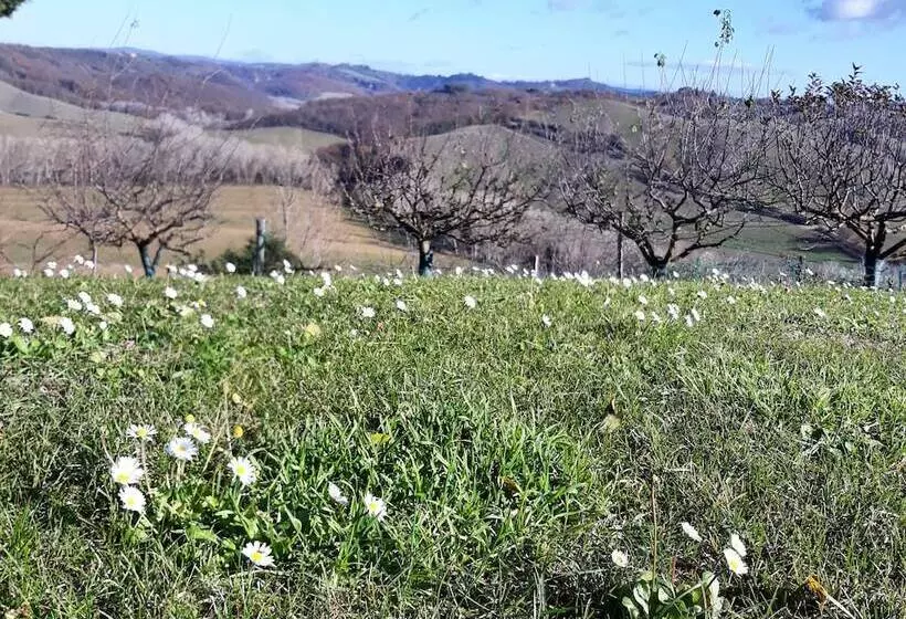 田舎風ホテル San Lorenzo Agriturismo