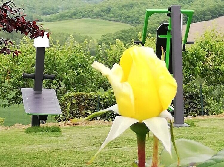 בית מלון כפרי San Lorenzo Agriturismo