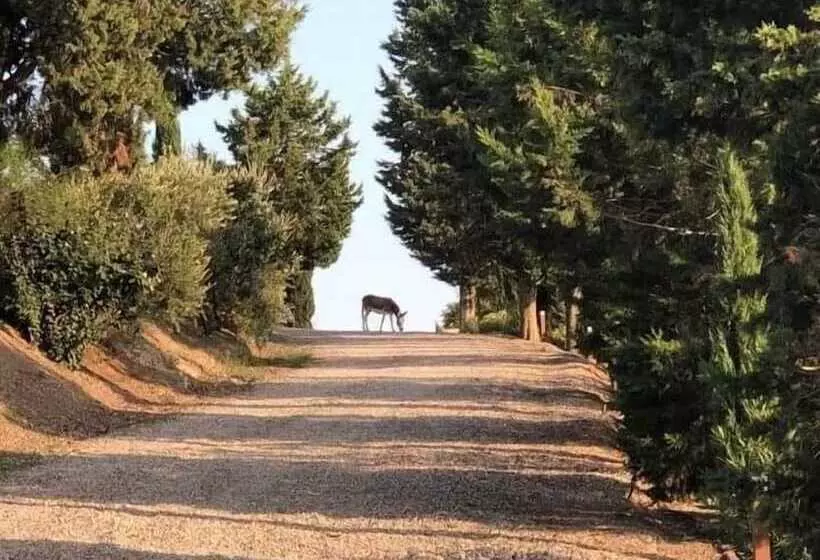田舎風ホテル San Lorenzo Agriturismo