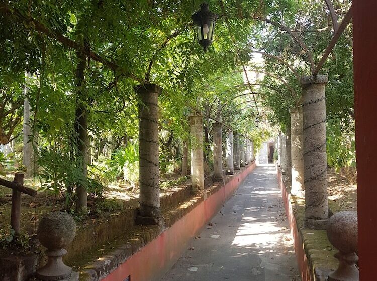 פנסיון Caluga House