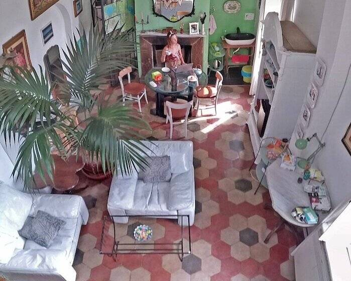 膳宿费 Il Camaleonte