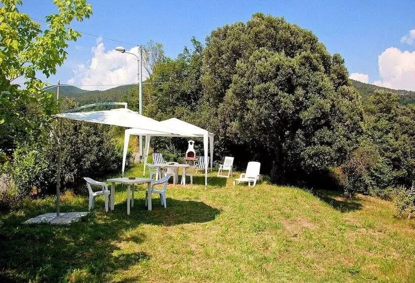 Spacious Home Surrounded By Nature