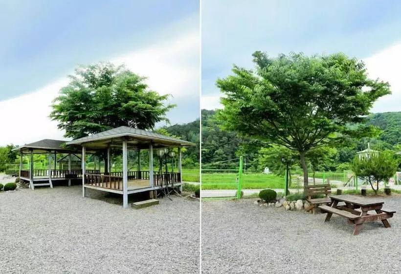 Vally Pension