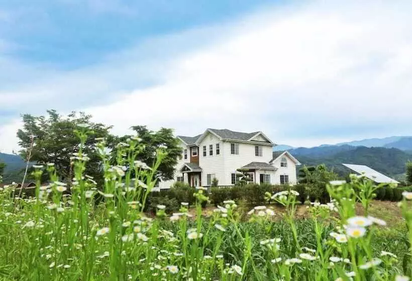 Vally Pension