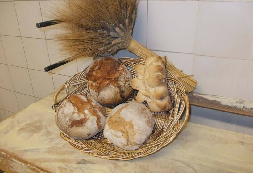 B&b Ecoturismo L Elicriso