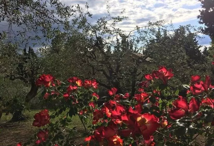 B&b Villino Ada
