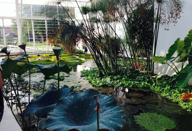 Bed and Breakfast Agriturismo Borgo Buzzaccarini Rocca Di Castello