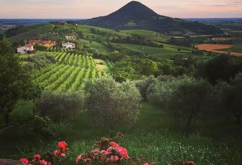 تختخواب و صبحانه Agriturismo Borgo Buzzaccarini Rocca Di Castello