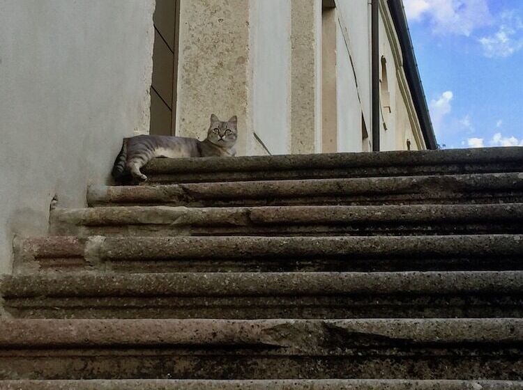 Bed and Breakfast Agriturismo Borgo Buzzaccarini Rocca Di Castello