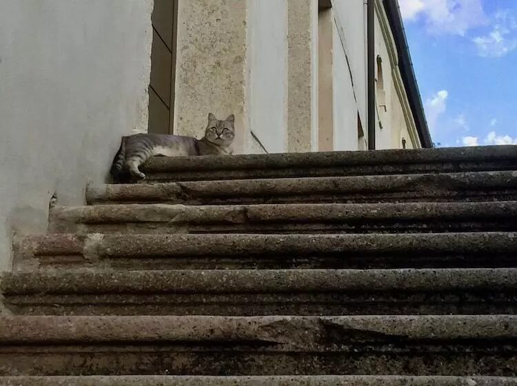 تختخواب و صبحانه Agriturismo Borgo Buzzaccarini Rocca Di Castello